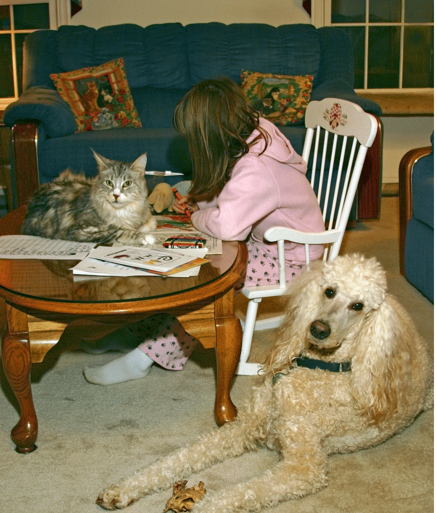 Child coloring with cat and dog in living room